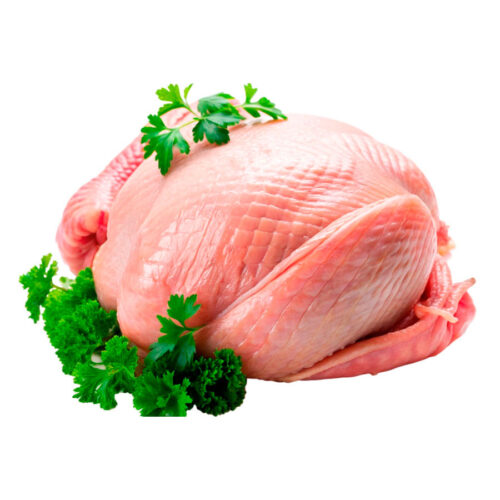 Chicken